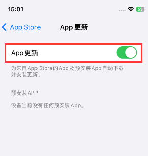 东路镇苹果15维修中心如何让iPhone15APP自动更新