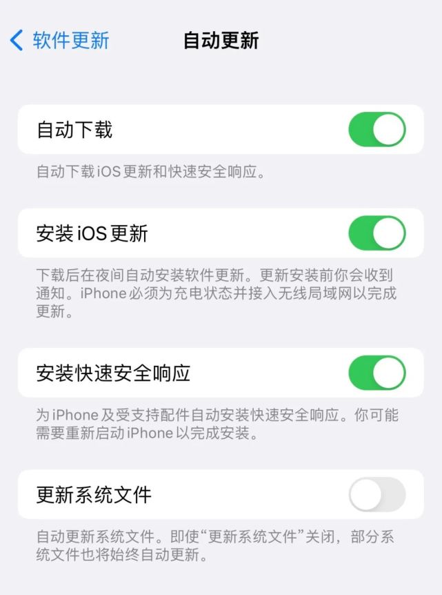 东路镇苹果手机维修分享苹果快速安全响应更新有必要安装吗 