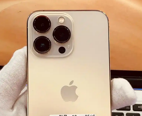 东路镇苹果13维修中心分享如何在iPhone13上设置动态壁纸 东路镇苹果13维修中心分享如何在iPhone13上设置动态壁纸